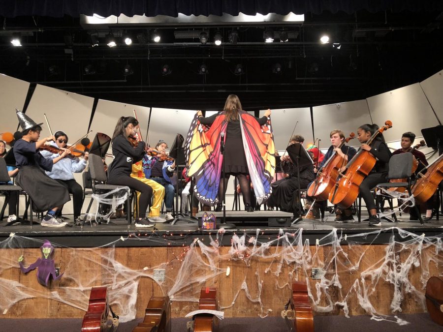 Orchestra impresses at their first concert