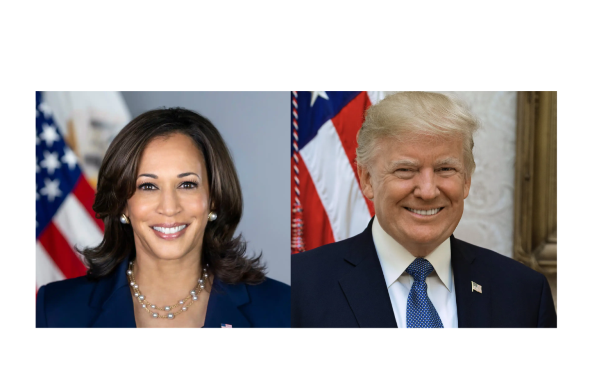 Democratic presidential candidate Vice President Kamala Harris, and Republican presidential candidate former President Donald Trump.